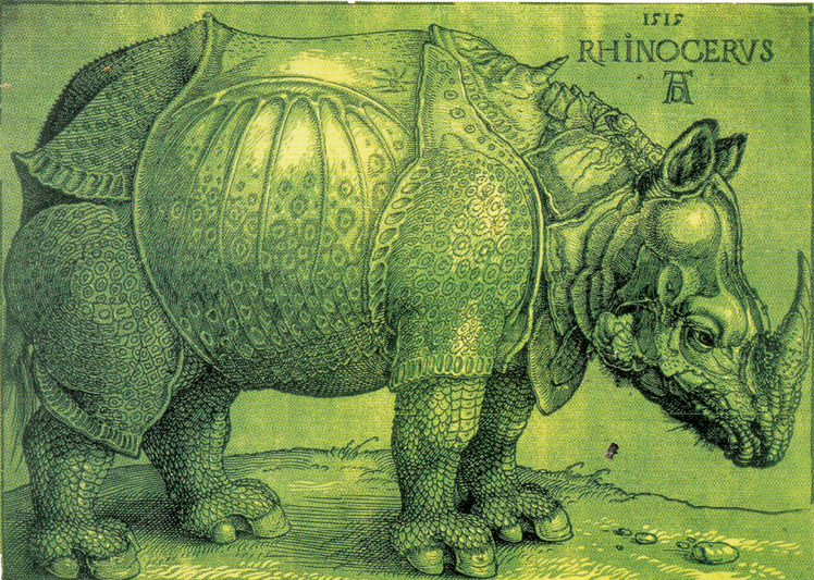   阿尔布雷特·丢勒Albrecht Dürer——素描与版画 (66)